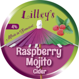 Raspberry Mojito
